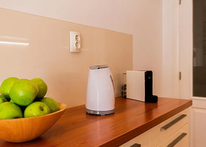 Appartement Stylish Oliva On Bacvice Near Old Town